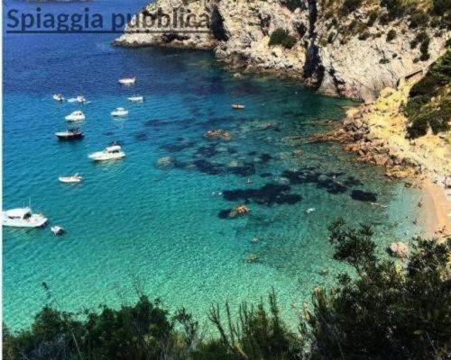 Willa Ampio Monolocale Con Balcone Fronte Mare Porto Santo Stefano  Zewnętrze zdjęcie